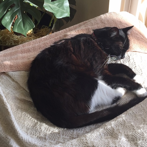 Meet your Posher, Jane - Picture 1 of 1